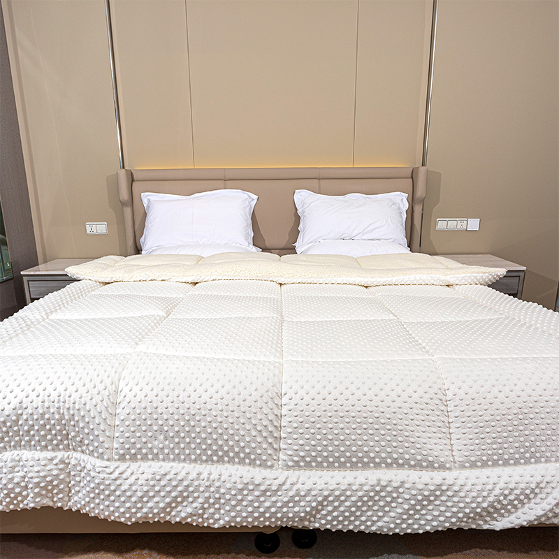 Minky Dots janjeće flece, dvostruka tkanina super mekana topli duva baršunasta debela topla zimska prekrivača luksuzno pahuljasto runo zimsko pokrivač